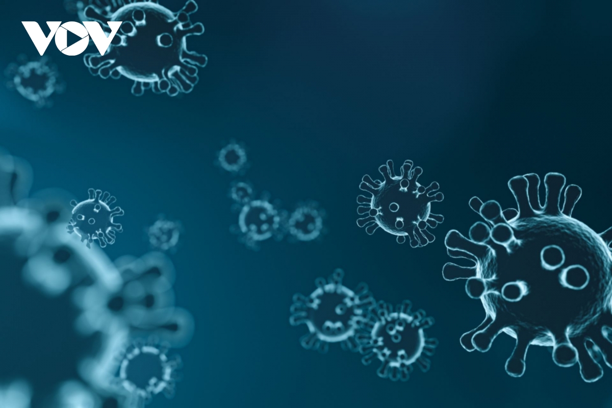 Lào ghi nhận virus bại liệt biến đổi gene, Bộ Y tế họp trực tuyến toàn quốc